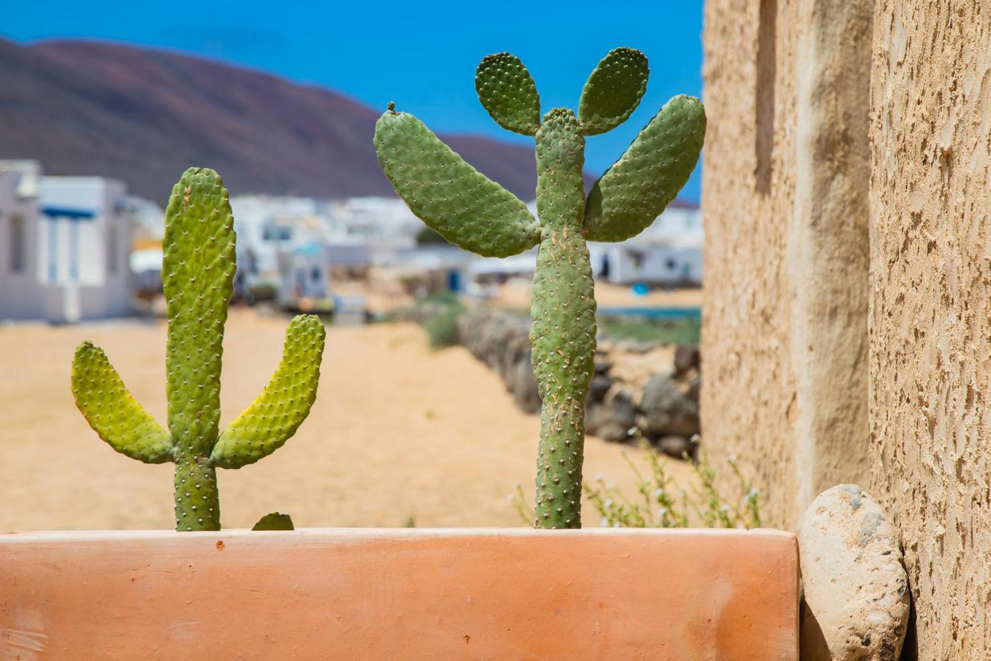 Eslanzarote La Duna House, Wifi, Sea Views Калета-де-Себо Экстерьер фото